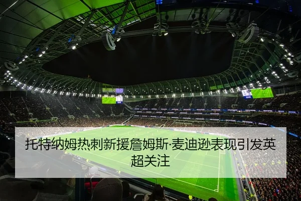 托特纳姆热刺新援詹姆斯·麦迪逊表现引发英超关注